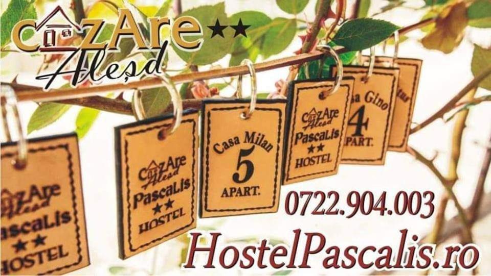 Hostel Pascalis Alesd מראה חיצוני תמונה