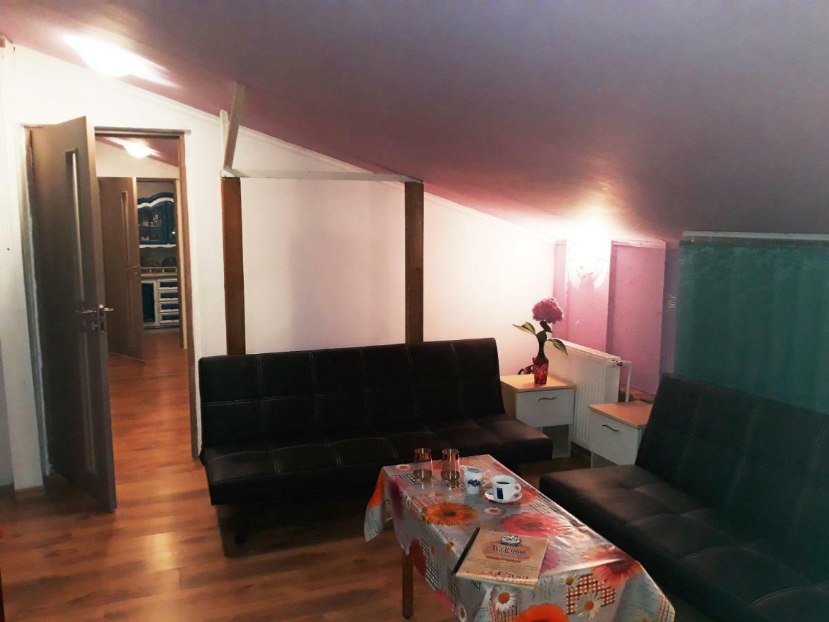 Hostel Pascalis Alesd מראה חיצוני תמונה